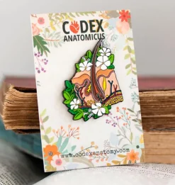 Anatomie de la peau - Pins-Codex Anatomicus