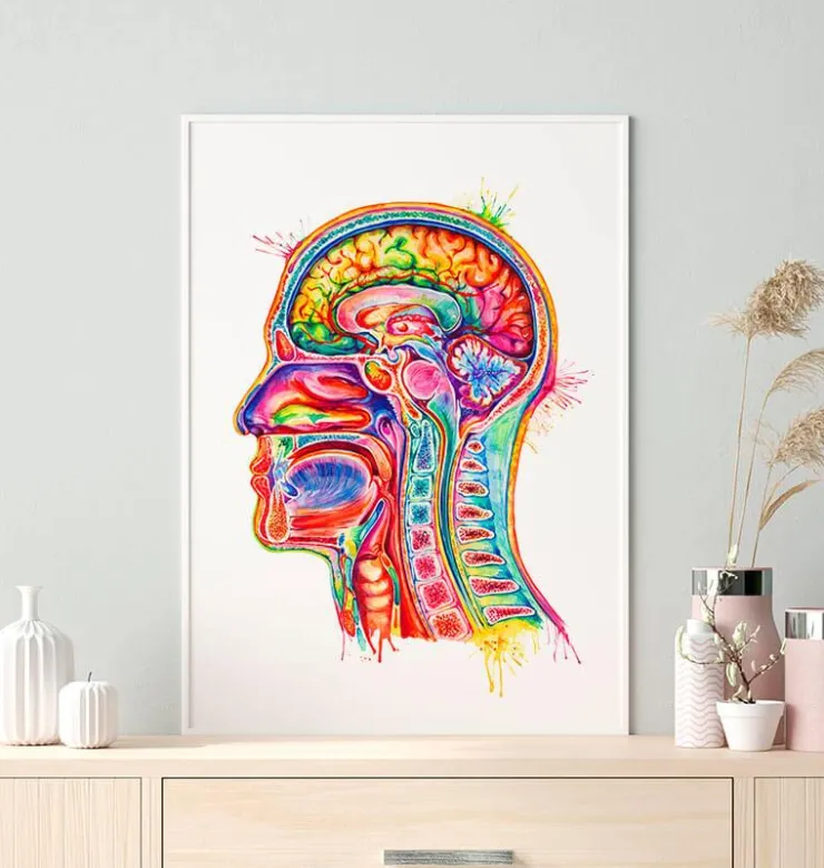 Anatomie de la section de tête - Aquarelle-Codex Anatomicus Best