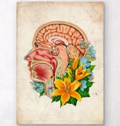 Anatomie de la tête - Floral - Vieux papier-Codex Anatomicus New