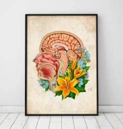 Anatomie de la tête - Floral - Vieux papier-Codex Anatomicus New