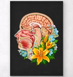 Anatomie de la tête - Floral - Noir-Codex Anatomicus Online