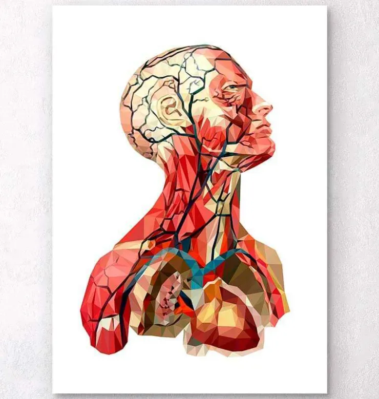 Anatomie de la tête géométrique II-Codex Anatomicus Outlet