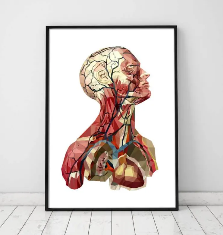 Anatomie de la tête géométrique II-Codex Anatomicus Outlet