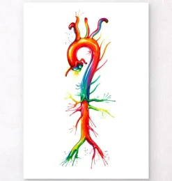 Anatomie de l'aorte - Aquarelle-Codex Anatomicus