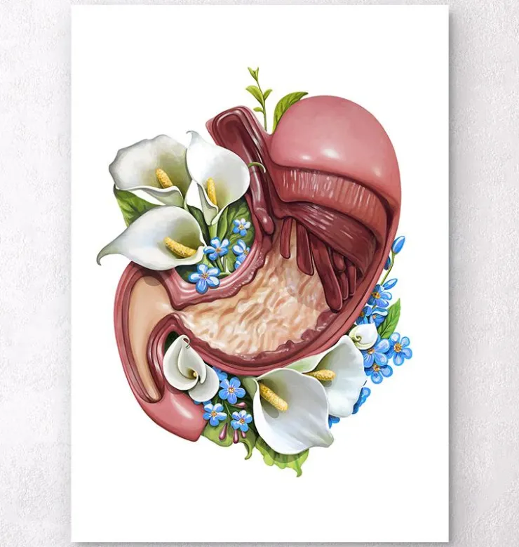 Anatomie de l'estomac - Floral - Blanc-Codex Anatomicus Sale