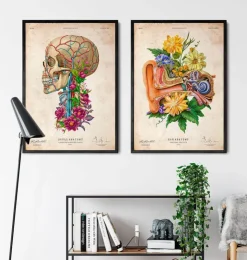 Anatomie de l'oreille - Floral - Vieux papier-Codex Anatomicus Outlet