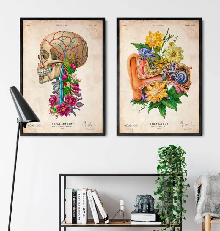 Anatomie de l'oreille - Floral - Vieux papier-Codex Anatomicus Outlet