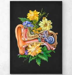 Anatomie de l'oreille - Floral - Noir-Codex Anatomicus Discount