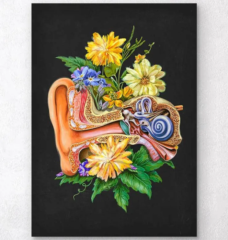 Anatomie de l'oreille - Floral - Noir-Codex Anatomicus Discount