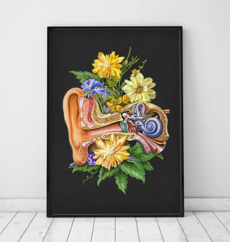 Anatomie de l'oreille - Floral - Noir-Codex Anatomicus Discount