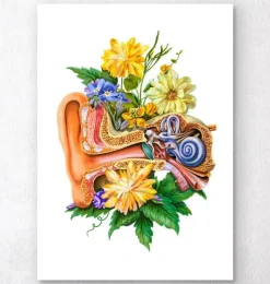 Anatomie de l'oreille - Floral - Blanc-Codex Anatomicus Clearance