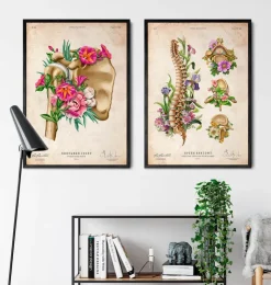 Anatomie de l'épaule - Floral - Vintage-Codex Anatomicus Clearance