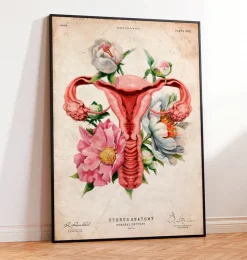 Anatomie de l'utérus - Floral - Vieux papier-Codex Anatomicus