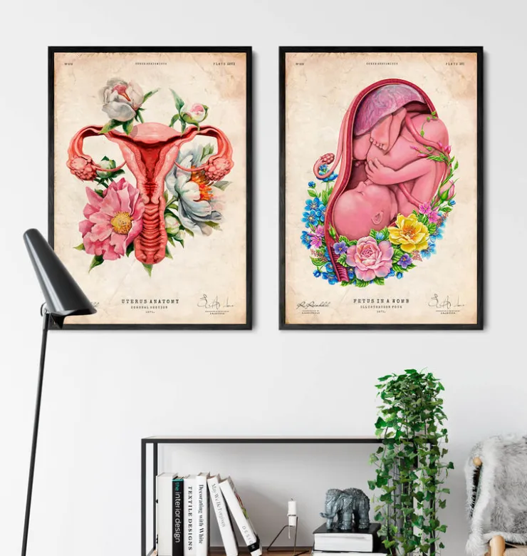 Anatomie de l'utérus - Floral - Vieux papier-Codex Anatomicus