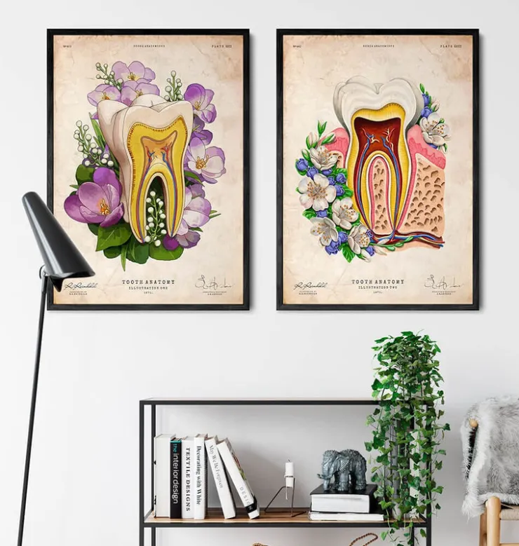 Anatomie dentaire - Vieux papiers-Codex Anatomicus New