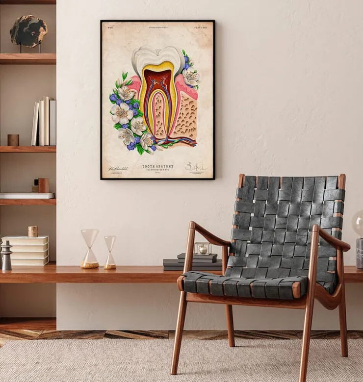 Anatomie dentaire II - Floral - Vieux Papier-Codex Anatomicus Discount