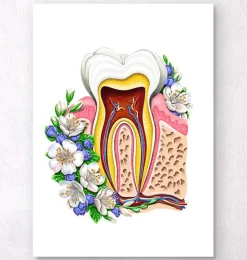 Anatomie dentaire II - Floral - Blanc-Codex Anatomicus New