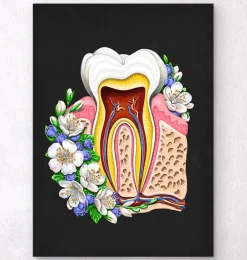 Anatomie dentaire II - Floral - Noir-Codex Anatomicus New