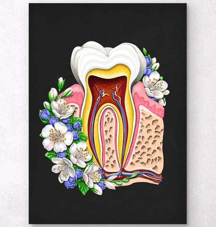 Anatomie dentaire II - Floral - Noir-Codex Anatomicus New