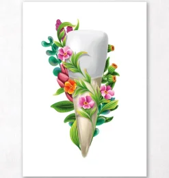 Anatomie dentaire III - Floral - Blanc-Codex Anatomicus