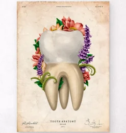 Anatomie dentaire IV - Floral - Vintage-Codex Anatomicus Hot