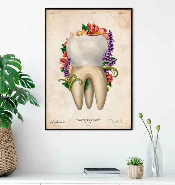 Anatomie dentaire IV - Floral - Vintage-Codex Anatomicus Hot