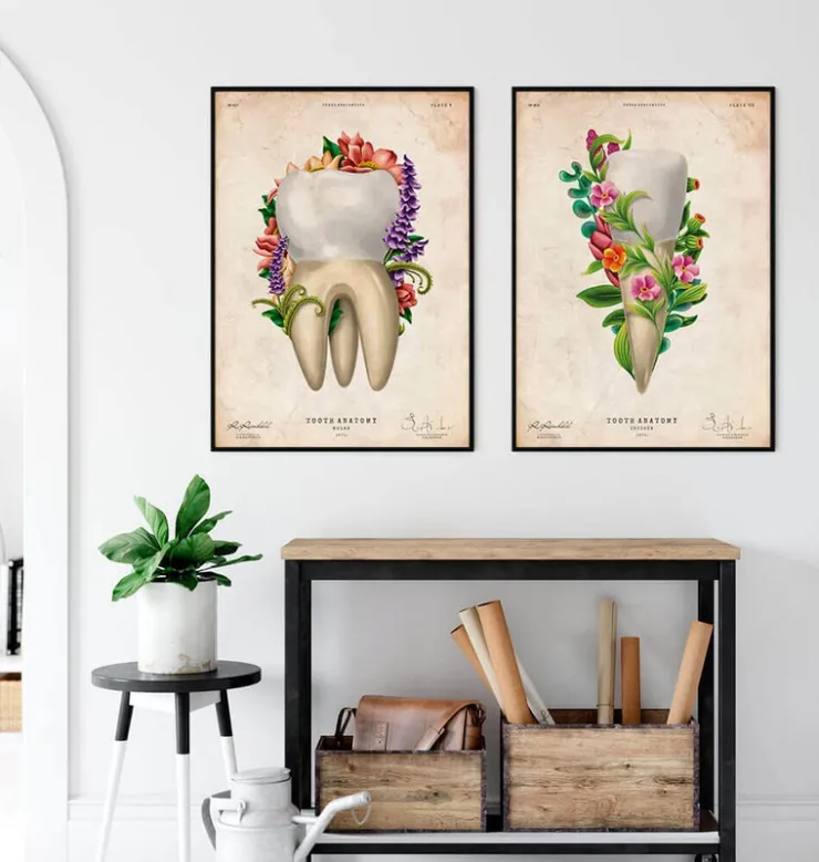 Anatomie dentaire IV - Floral - Vintage-Codex Anatomicus Hot