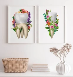 Anatomie dentaire IV - Floral - Blanc-Codex Anatomicus Sale