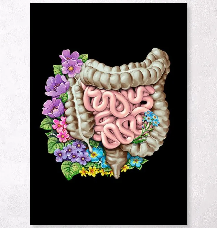 Anatomie des intestins - Floral - Noir-Codex Anatomicus Hot