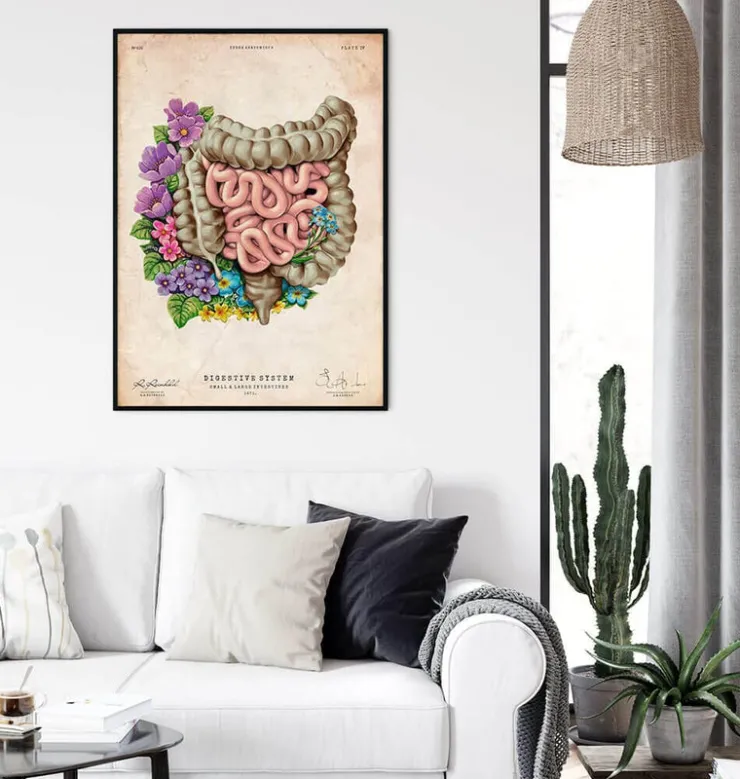 Anatomie des intestins - Floral - Vieux Papier-Codex Anatomicus