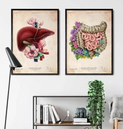 Anatomie des intestins - Floral - Vieux Papier-Codex Anatomicus