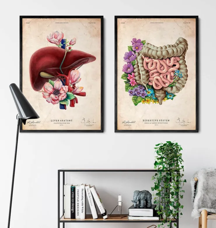 Anatomie des intestins - Floral - Vieux Papier-Codex Anatomicus