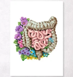 Anatomie des intestins - Floral - Blanc-Codex Anatomicus Best