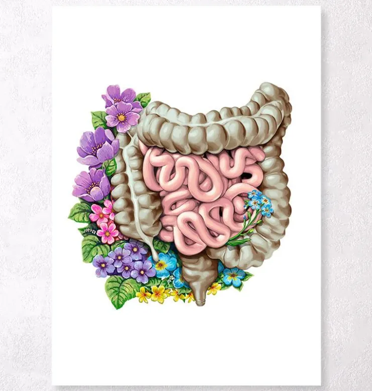 Anatomie des intestins - Floral - Blanc-Codex Anatomicus Best