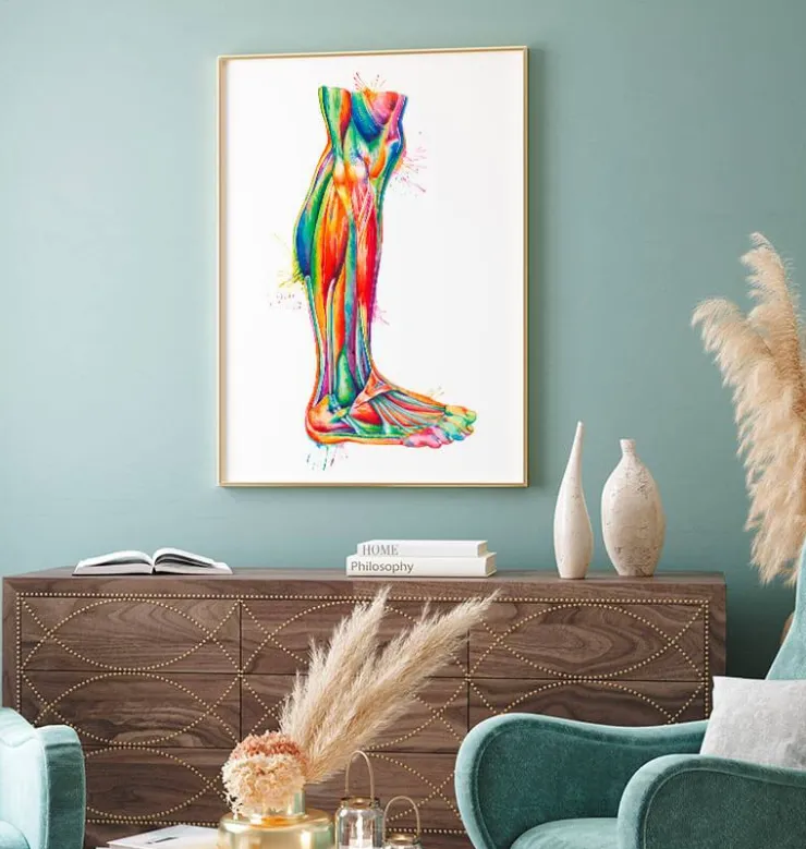 Anatomie des jambes - Aquarelle-Codex Anatomicus New