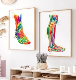 Anatomie des jambes - Aquarelle-Codex Anatomicus New