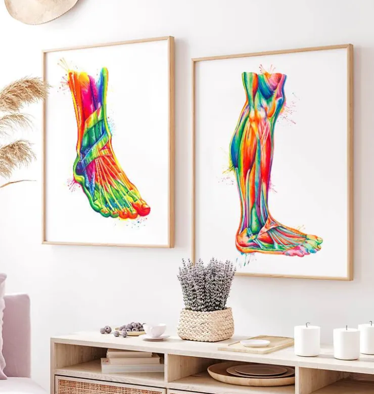 Anatomie des jambes - Aquarelle-Codex Anatomicus New