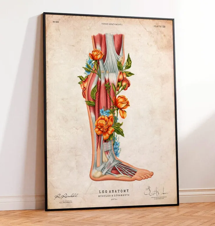 Anatomie des jambes - Floral - Vintage-Codex Anatomicus Clearance
