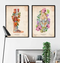 Anatomie des jambes - Floral - Vintage-Codex Anatomicus Clearance
