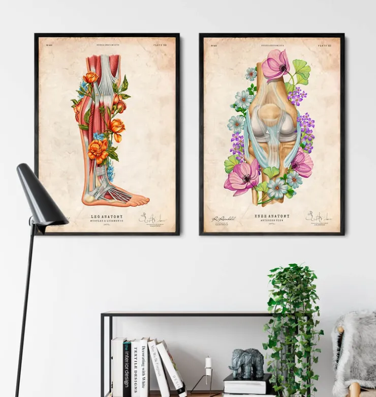 Anatomie des jambes - Floral - Vintage-Codex Anatomicus Clearance