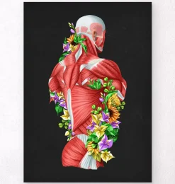Anatomie des muscles - Floral - Noir-Codex Anatomicus Best
