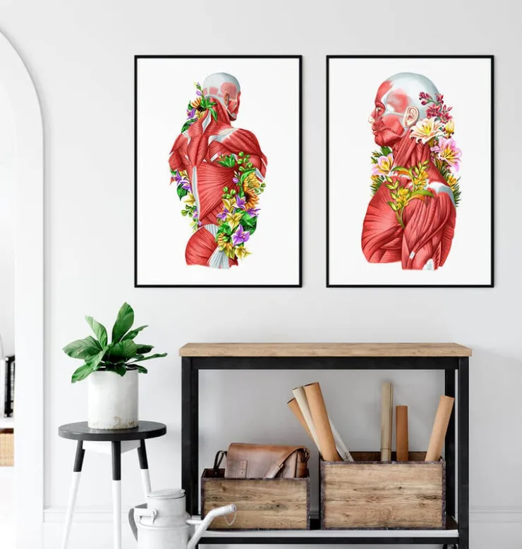 Anatomie des muscles - Floral - Blanc-Codex Anatomicus Best