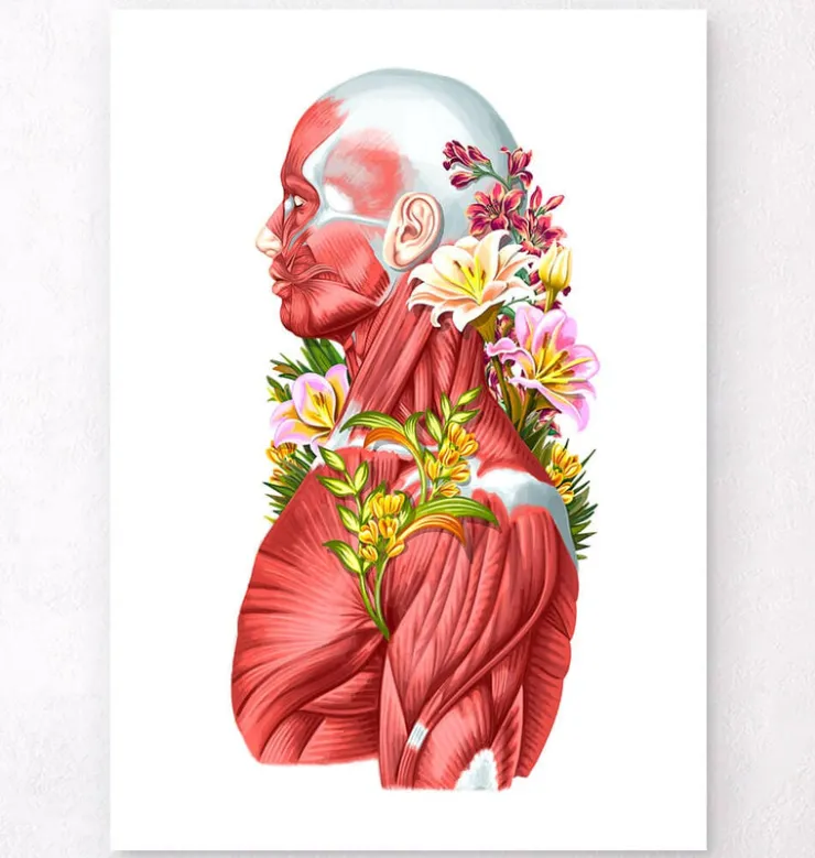 Anatomie des muscles - Floral - Blanc-Codex Anatomicus Hot