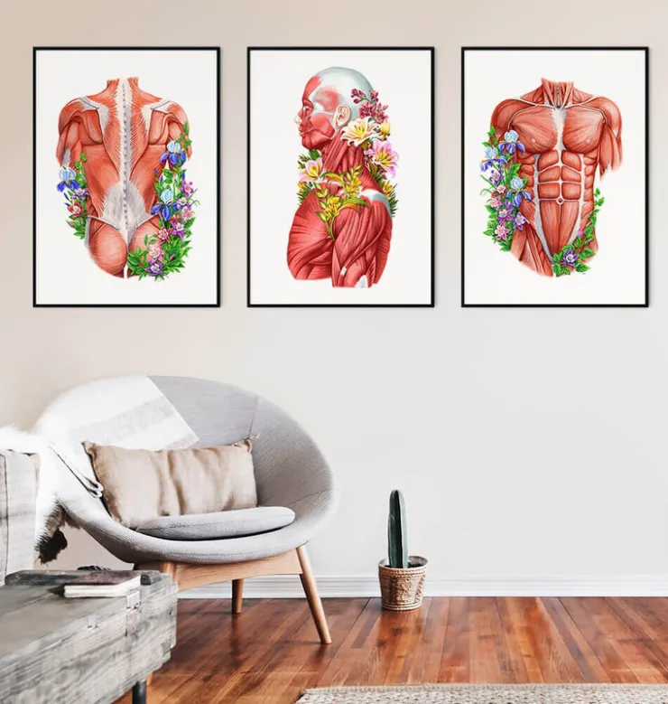 Anatomie des muscles - Floral - Blanc-Codex Anatomicus Hot