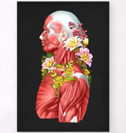 Anatomie des muscles - Floral - Noir-Codex Anatomicus New