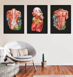 Anatomie des muscles - Floral - Noir-Codex Anatomicus New