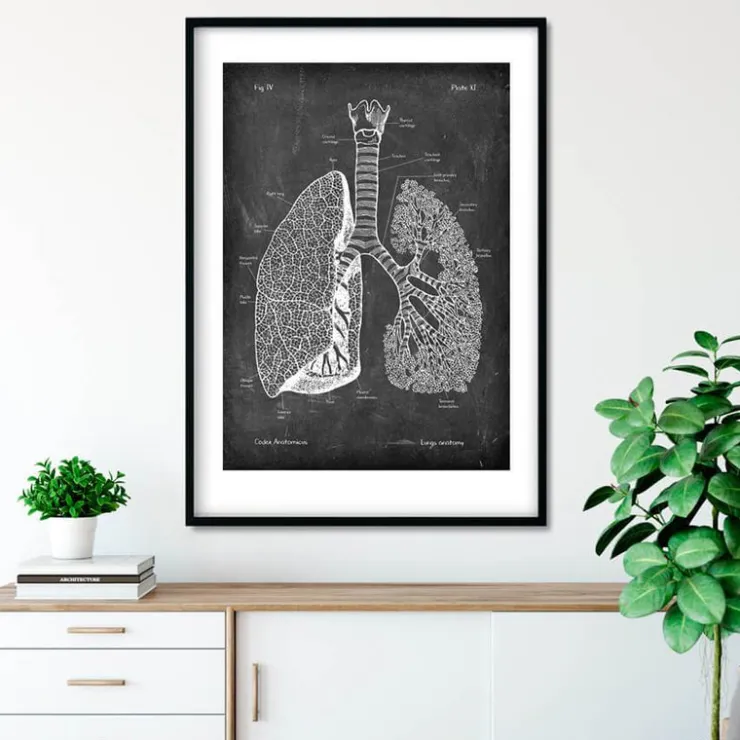Anatomie des poumons - Chalkboard-Codex Anatomicus Hot