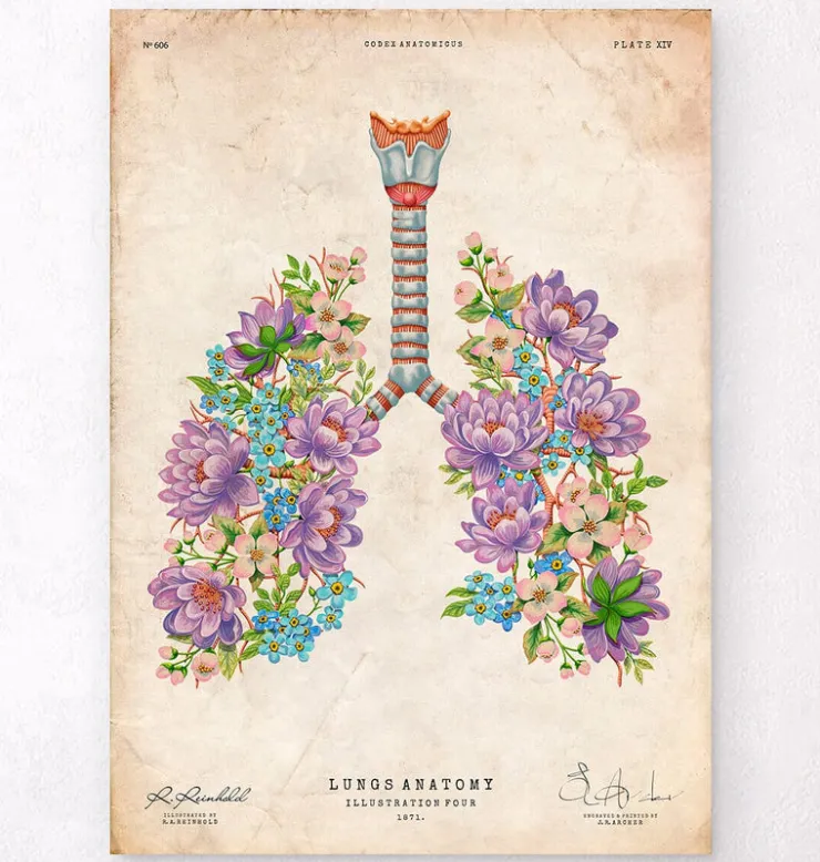 Anatomie des poumons - Floral - Vintage-Codex Anatomicus Online