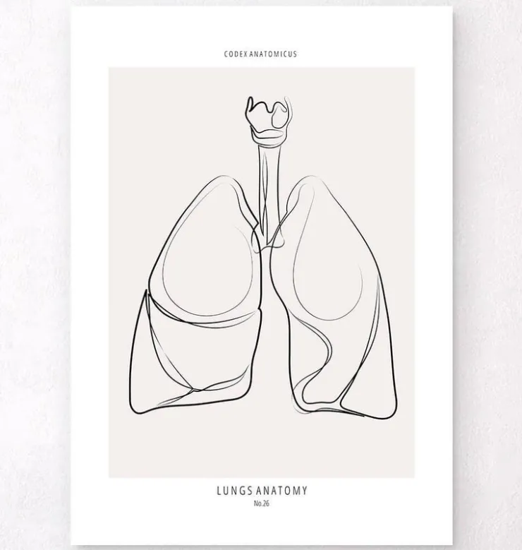 Anatomie des poumons - Line Art-Codex Anatomicus Hot