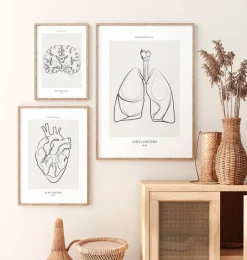 Anatomie des poumons - Line Art-Codex Anatomicus Hot